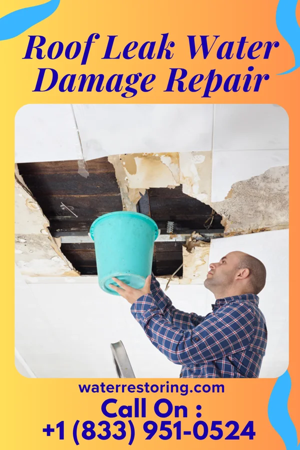 Roof Leak Water Damage Repair in Corsica, SD