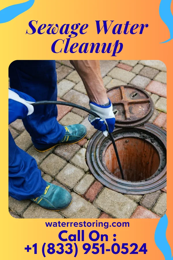 Sewage Water Cleanup in Corsica, SD